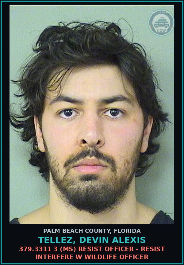 Booking mugshot of TELLEZ, DEVIN ALEXIS in Palm Beach County