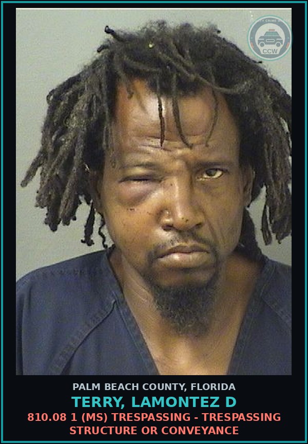 Booking mugshot of TERRY, LAMONTEZ D in Palm Beach County