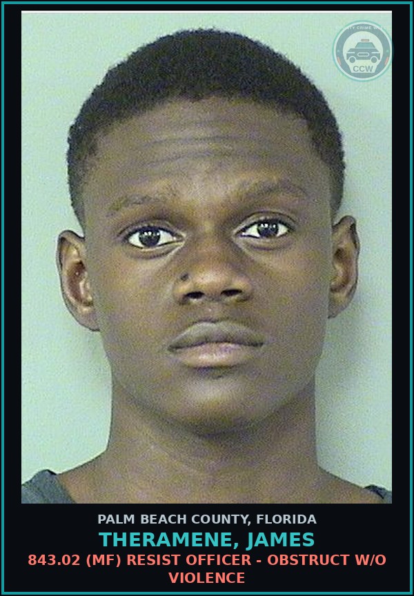 Booking mugshot of THERAMENE, JAMES in Palm Beach County