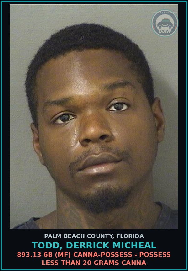 Booking mugshot of TODD, DERRICK MICHEAL in Palm Beach County