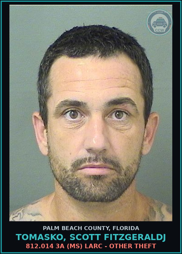 Booking mugshot of TOMASKO, SCOTT FITZGERALDJ in Palm Beach County