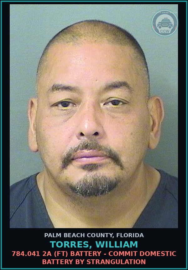 Booking mugshot of TORRES, WILLIAM in Palm Beach County