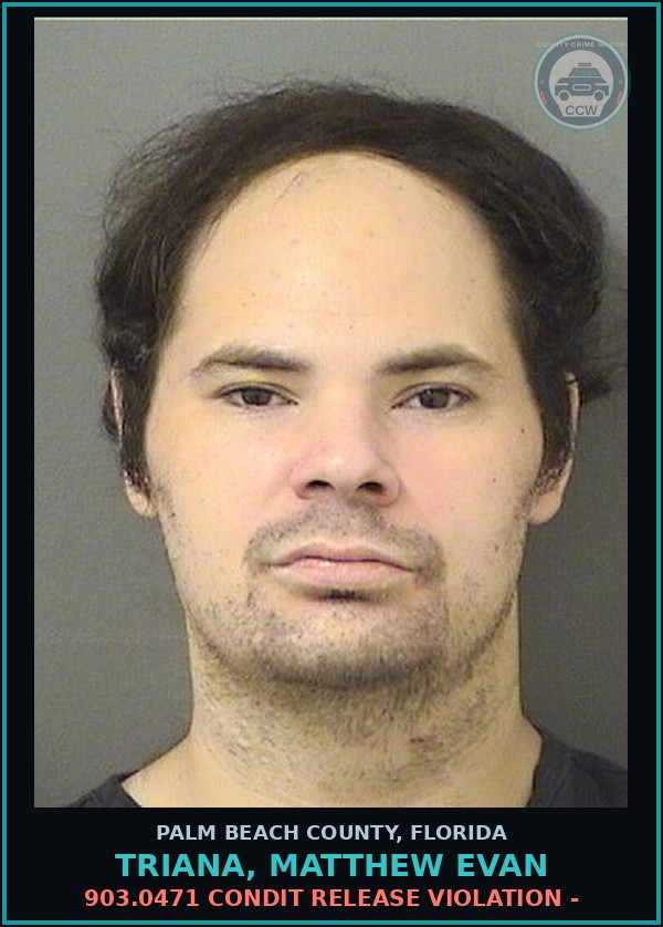 Booking mugshot of TRIANA, MATTHEW EVAN in Palm Beach County