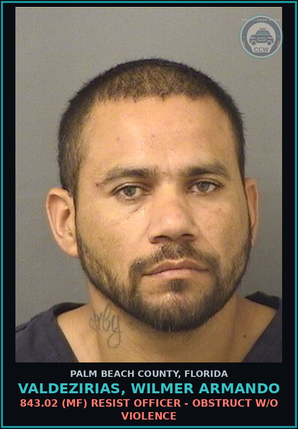 Booking mugshot of VALDEZIRIAS, WILMER ARMANDO in Palm Beach County