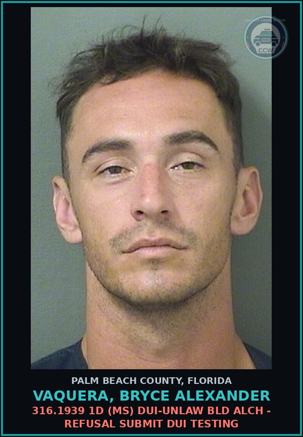 Booking mugshot of VAQUERA, BRYCE ALEXANDER in Palm Beach County