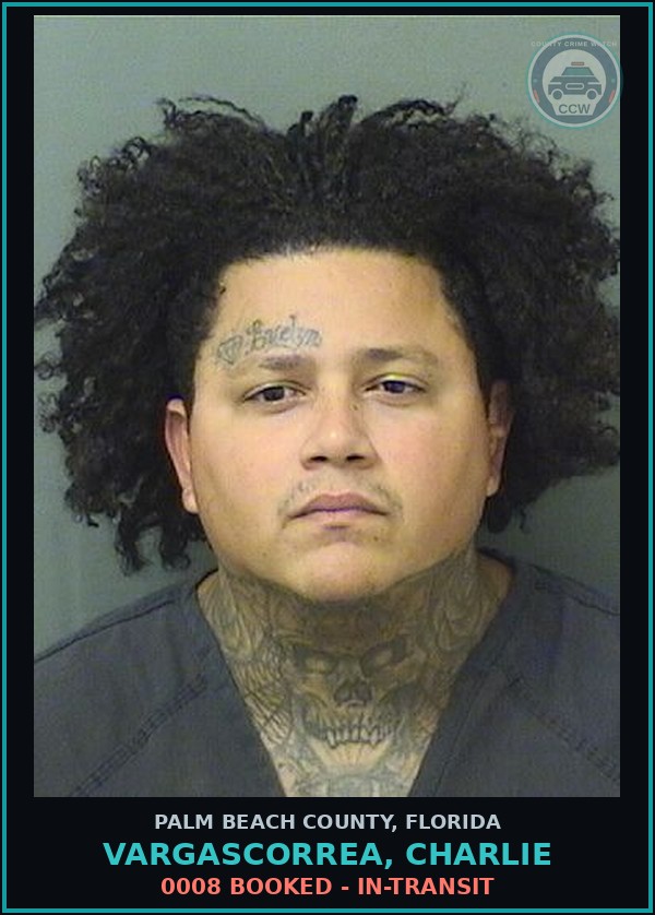 Booking mugshot of VARGASCORREA, CHARLIE in Palm Beach County