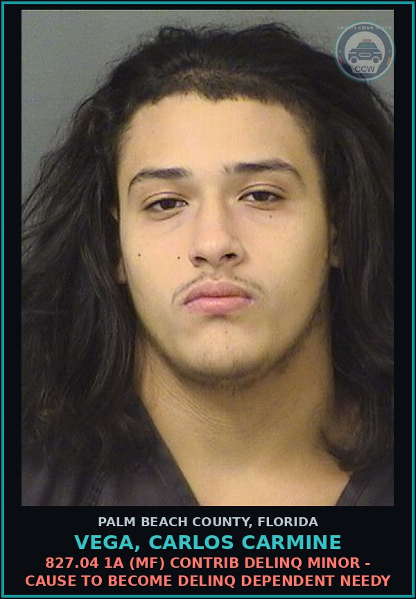 Booking mugshot of VEGA, CARLOS CARMINE in Palm Beach County