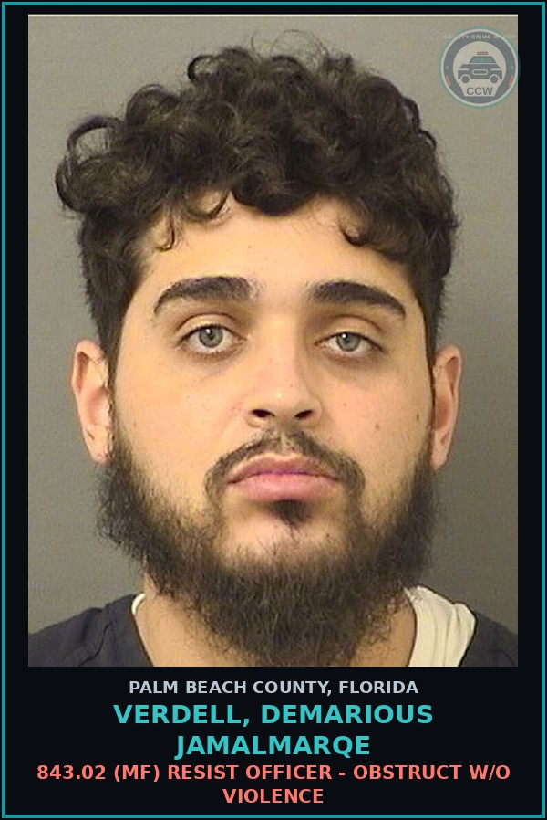 Booking mugshot of VERDELL, DEMARIOUS JAMALMARQE in Palm Beach County