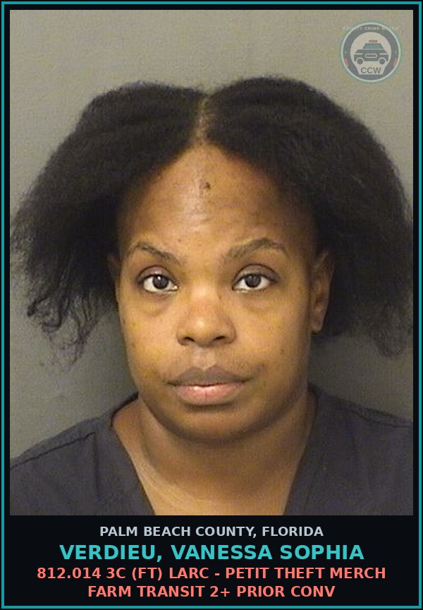 Booking mugshot of VERDIEU, VANESSA SOPHIA in Palm Beach County