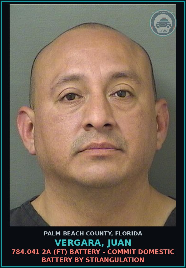 Booking mugshot of VERGARA, JUAN in Palm Beach County