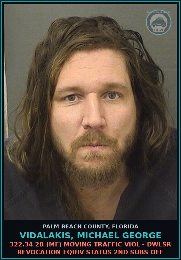 Booking mugshot of VIDALAKIS, MICHAEL GEORGE in Palm Beach County