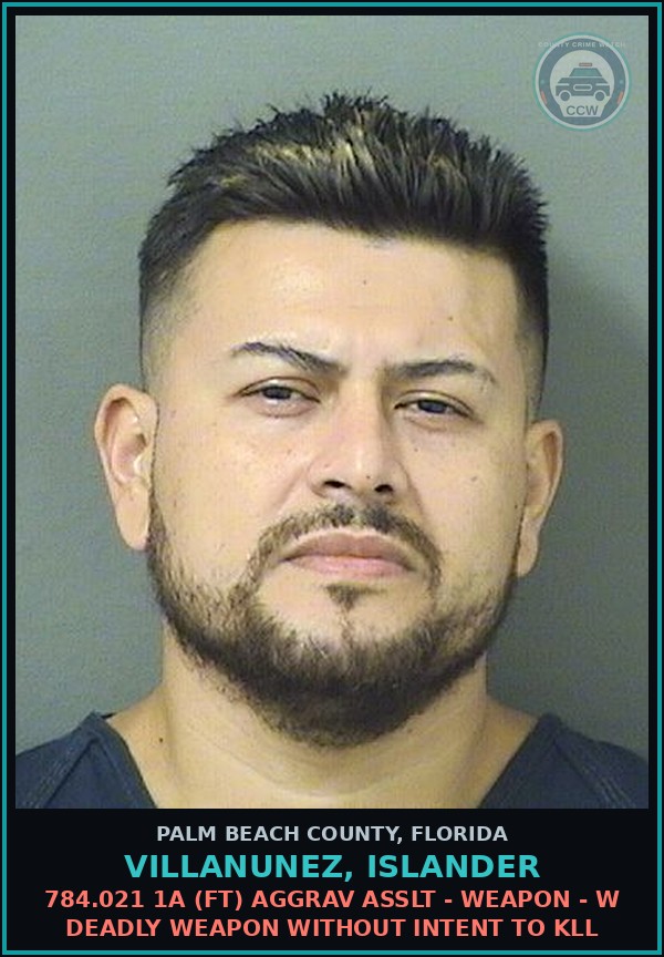 Booking mugshot of VILLANUNEZ, ISLANDER in Palm Beach County
