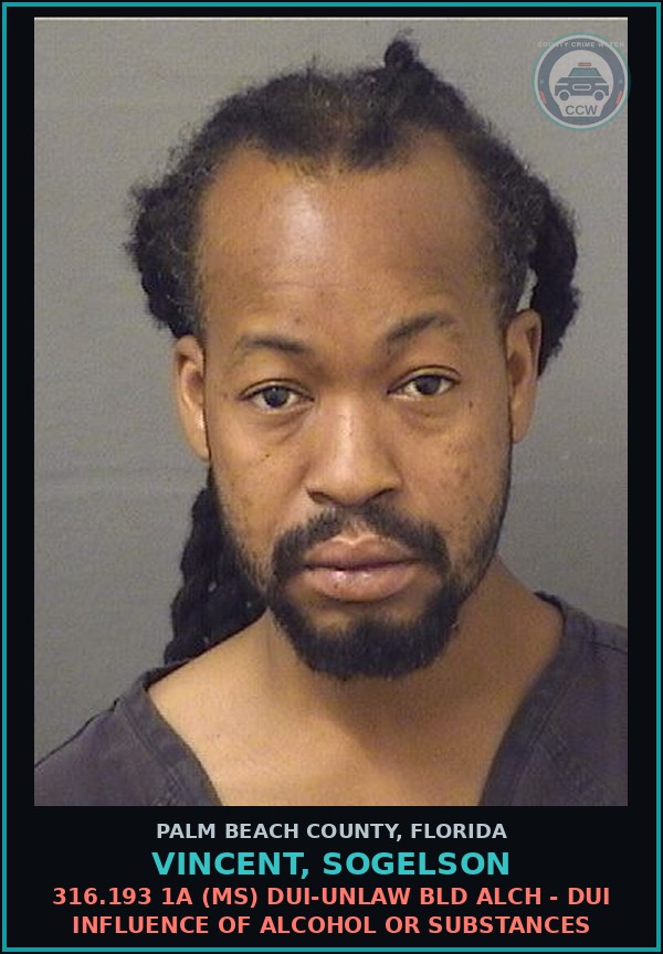 Booking mugshot of VINCENT, SOGELSON in Palm Beach County