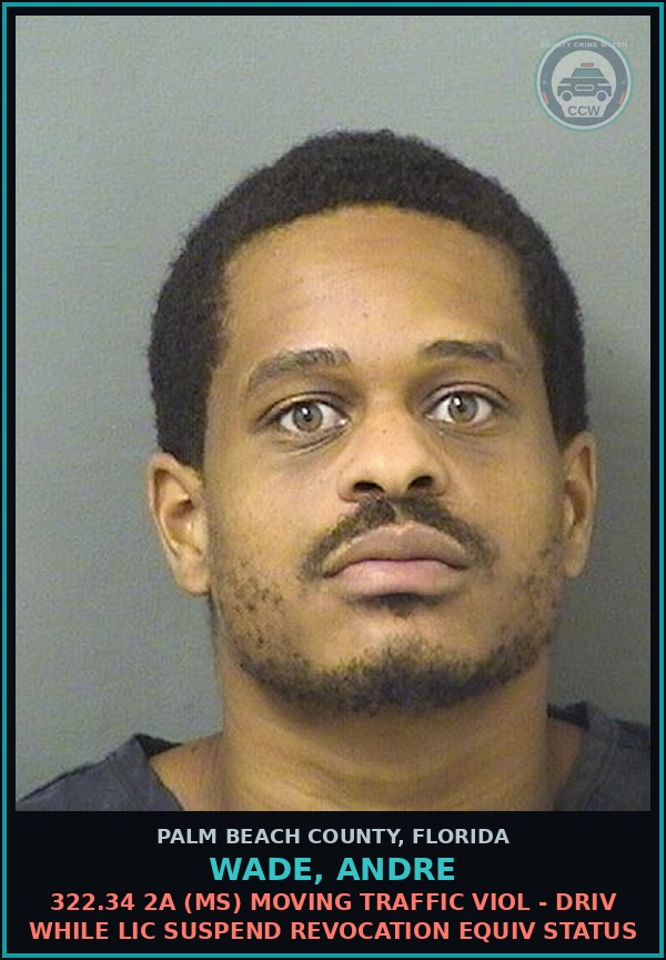 Booking mugshot of WADE, ANDRE in Palm Beach County