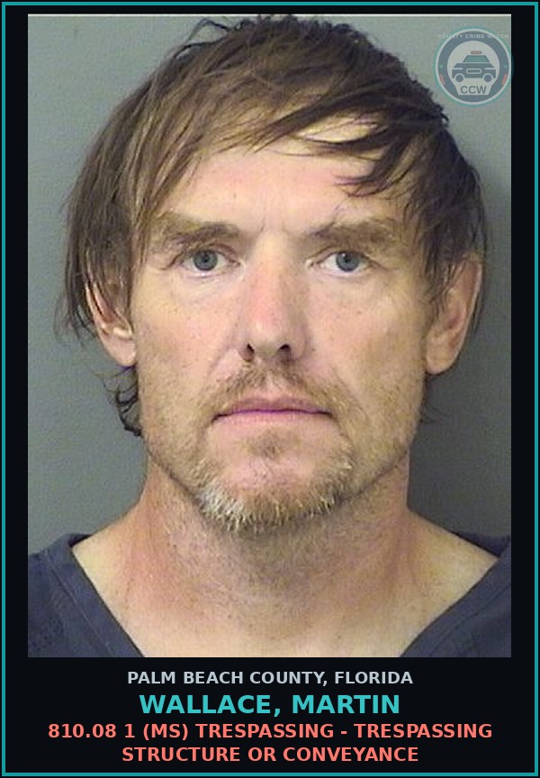 Booking mugshot of WALLACE, MARTIN in Palm Beach County