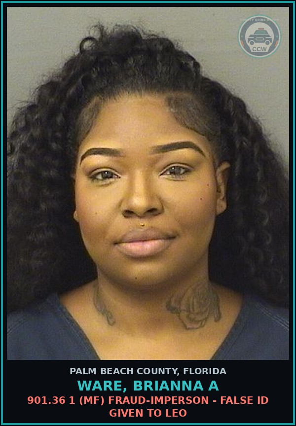 Booking mugshot of WARE, BRIANNA A in Palm Beach County