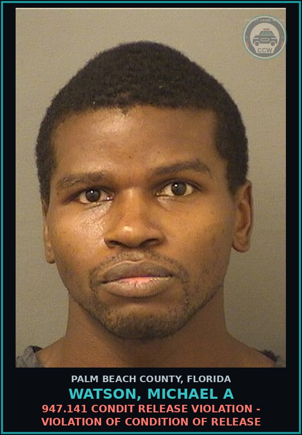 Booking mugshot of WATSON, MICHAEL A in Palm Beach County