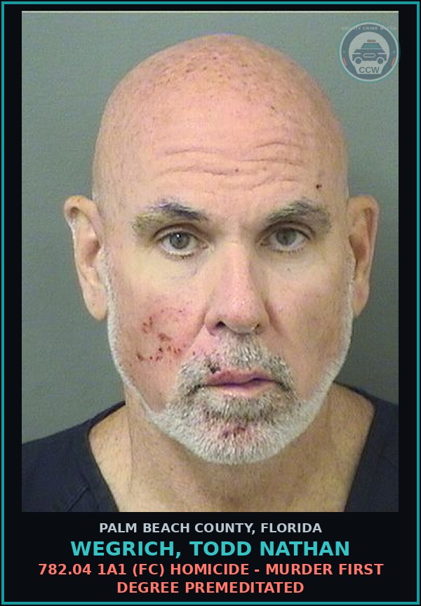 Booking mugshot of WEGRICH, TODD NATHAN in Palm Beach County