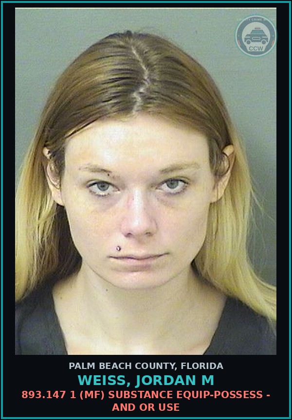 Booking mugshot of WEISS, JORDAN M in Palm Beach County