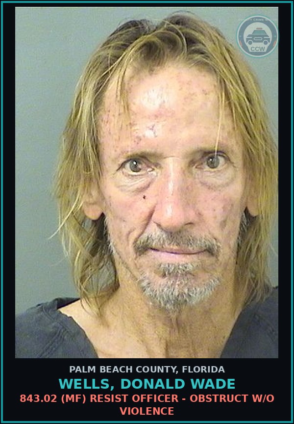 Booking mugshot of WELLS, DONALD WADE in Palm Beach County