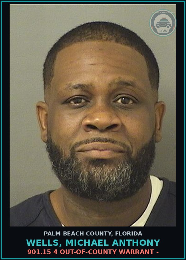 Booking mugshot of WELLS, MICHAEL ANTHONY in Palm Beach County