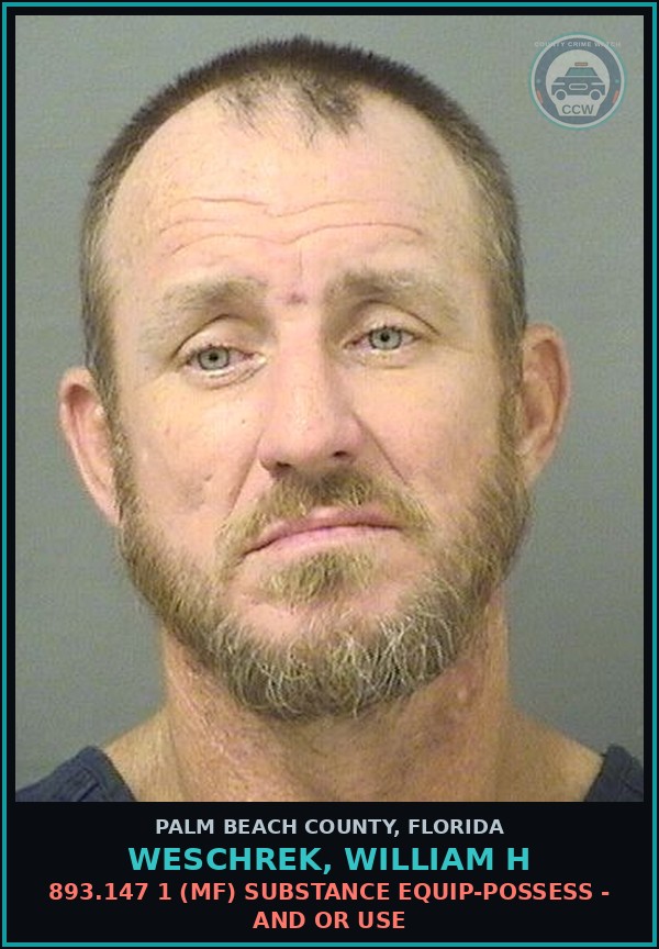 Booking mugshot of WESCHREK, WILLIAM H in Palm Beach County