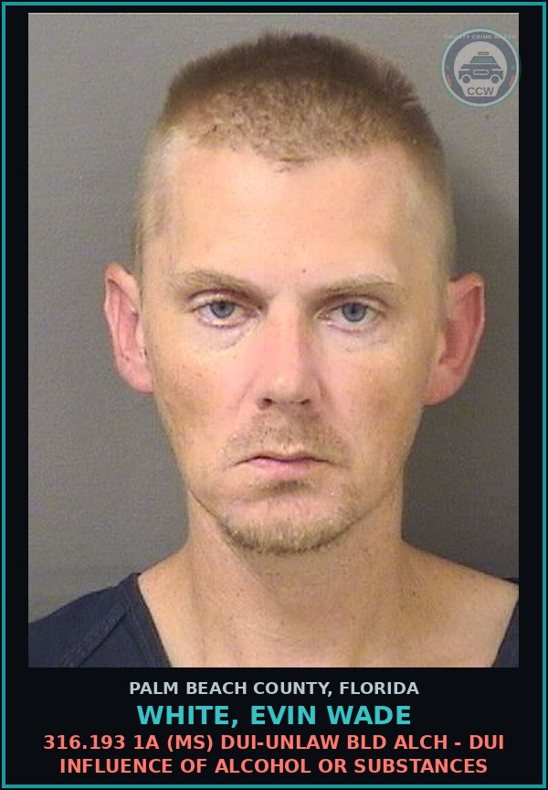 Booking mugshot of WHITE, EVIN WADE in Palm Beach County