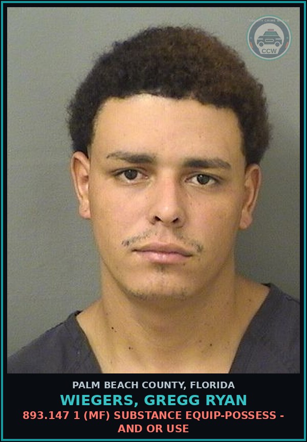 Booking mugshot of WIEGERS, GREGG RYAN in Palm Beach County