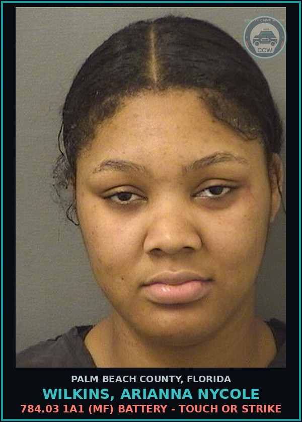 Booking mugshot of WILKINS, ARIANNA NYCOLE in Palm Beach County
