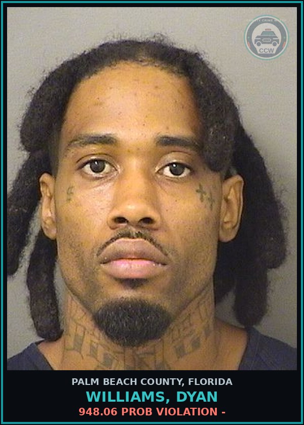 Booking mugshot of WILLIAMS, DYAN in Palm Beach County