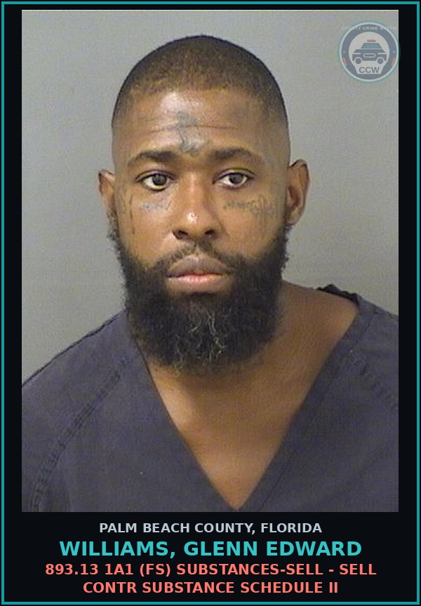 Booking mugshot of WILLIAMS, GLENN EDWARD in Palm Beach County