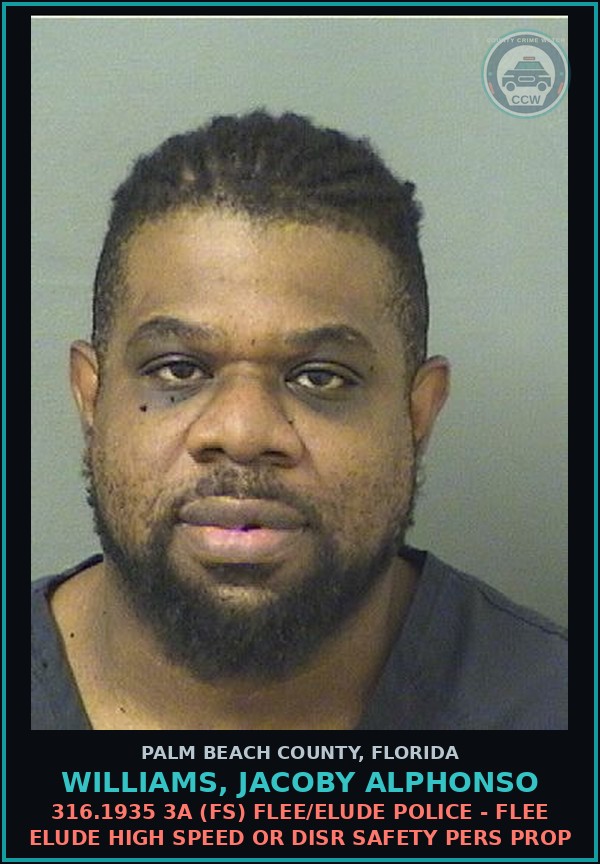 Booking mugshot of WILLIAMS, JACOBY ALPHONSO in Palm Beach County