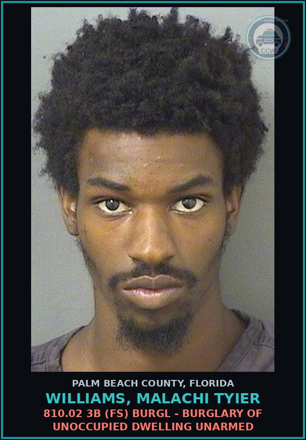 Booking mugshot of WILLIAMS, MALACHI TYIER in Palm Beach County