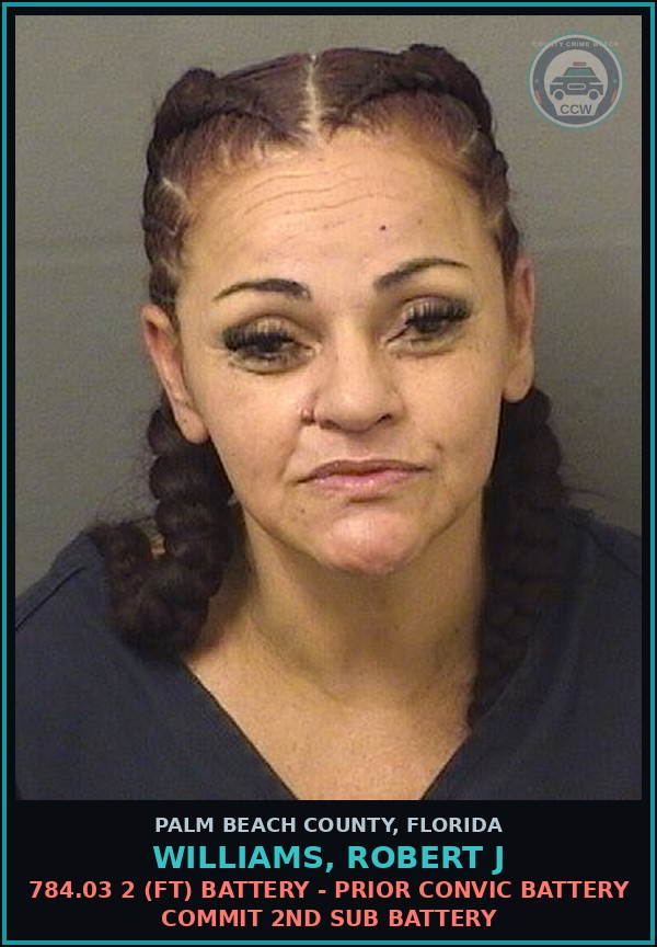 Booking mugshot of WILLIAMS, ROBERT J in Palm Beach County