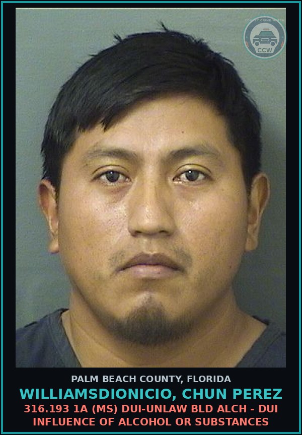 Booking mugshot of WILLIAMSDIONICIO, CHUN PEREZ in Palm Beach County