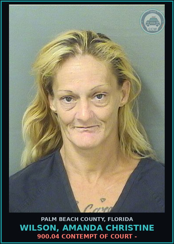 Booking mugshot of WILSON, AMANDA CHRISTINE in Palm Beach County