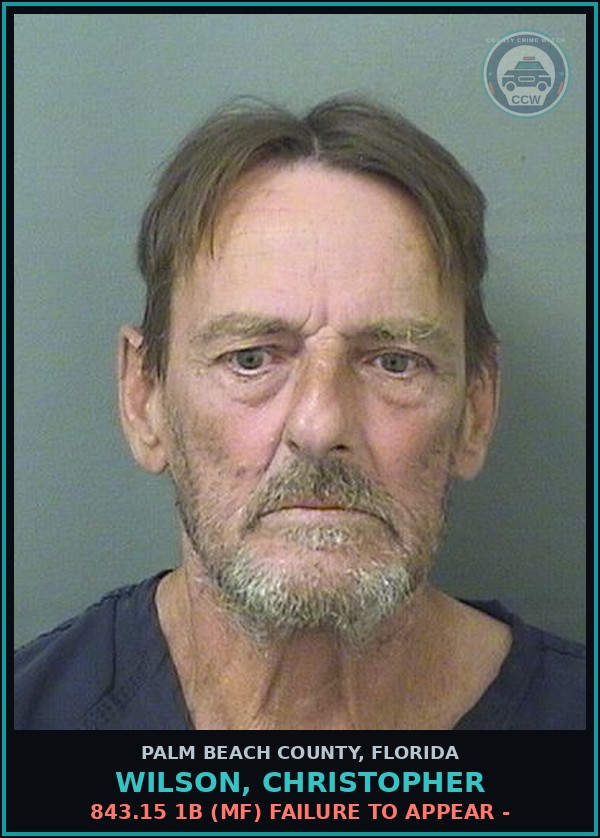 Booking mugshot of WILSON, CHRISTOPHER in Palm Beach County