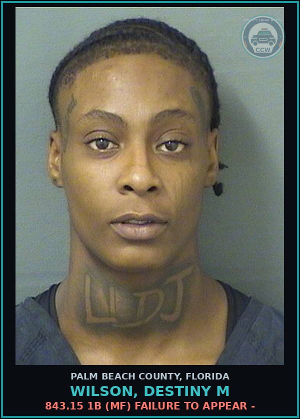 Booking mugshot of WILSON, DESTINY M in Palm Beach County