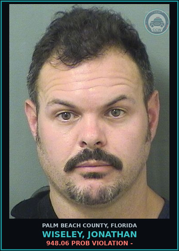 Booking mugshot of WISELEY, JONATHAN in Palm Beach County