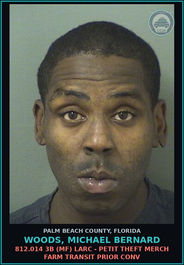 Booking mugshot of WOODS, MICHAEL BERNARD in Palm Beach County