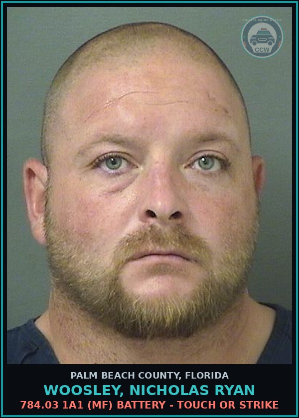 Booking mugshot of WOOSLEY, NICHOLAS RYAN in Palm Beach County
