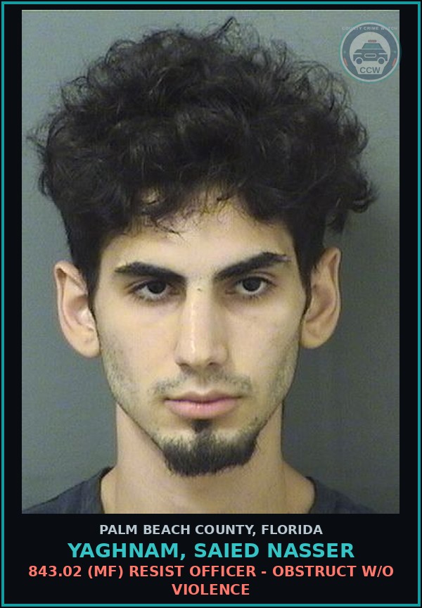 Booking mugshot of YAGHNAM, SAIED NASSER in Palm Beach County