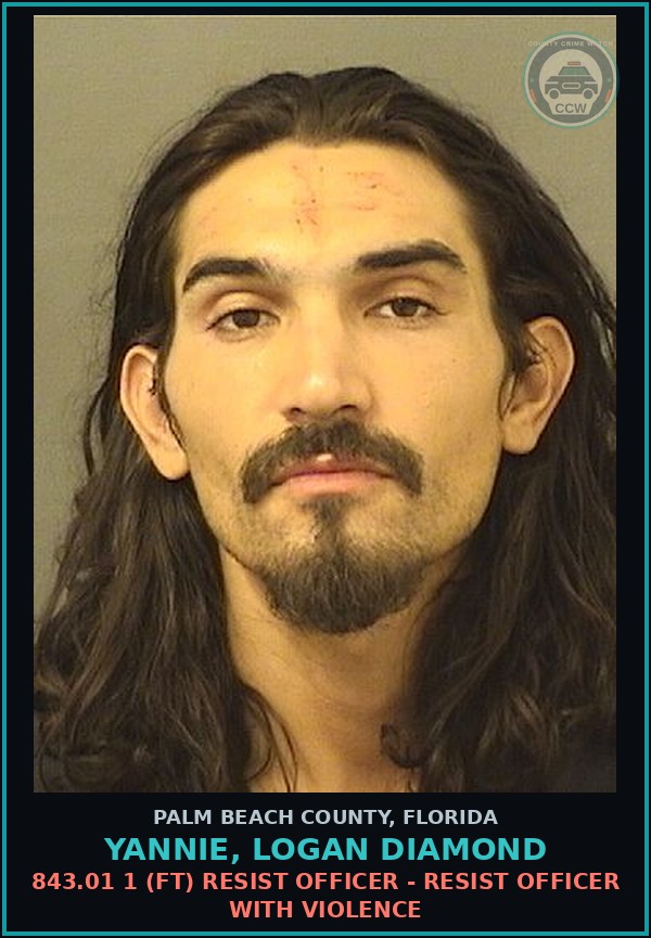 Booking mugshot of YANNIE, LOGAN DIAMOND in Palm Beach County