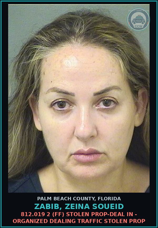Booking mugshot of ZABIB, ZEINA SOUEID in Palm Beach County