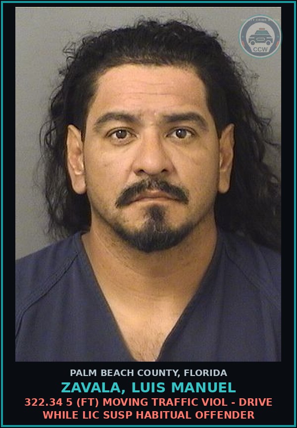 Booking mugshot of ZAVALA, LUIS MANUEL in Palm Beach County