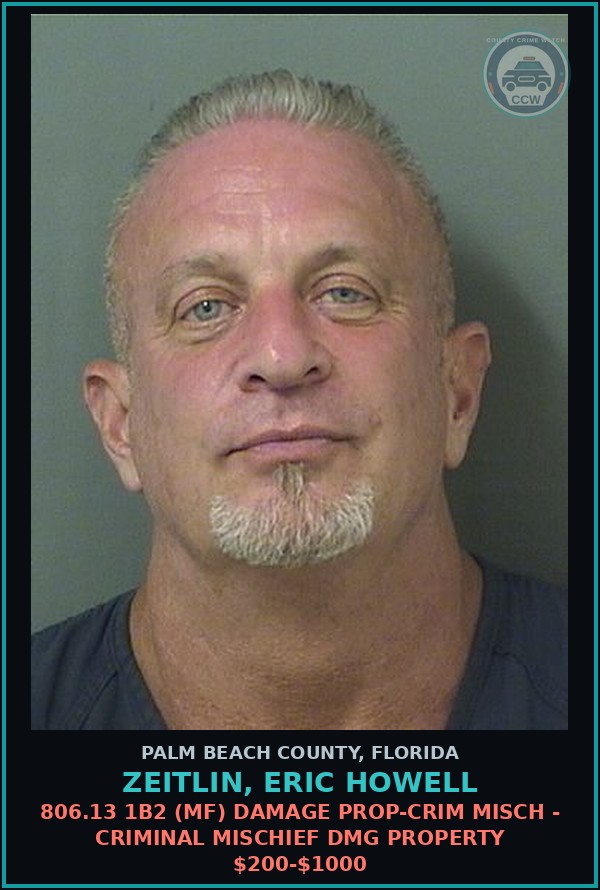 Booking mugshot of ZEITLIN, ERIC HOWELL in Palm Beach County