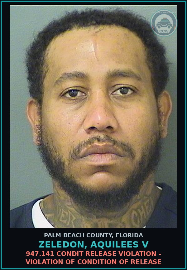 Booking mugshot of ZELEDON, AQUILEES V in Palm Beach County