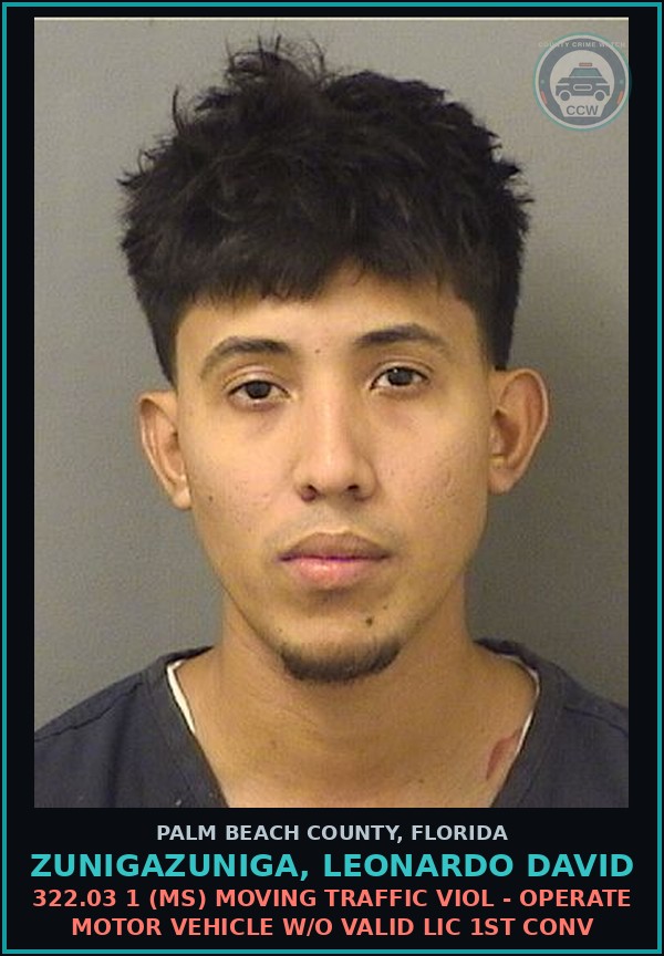 Booking mugshot of ZUNIGAZUNIGA, LEONARDO DAVID in Palm Beach County