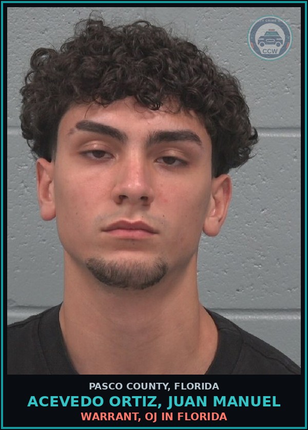 Booking mugshot of ACEVEDO ORTIZ, JUAN MANUEL in Pasco County