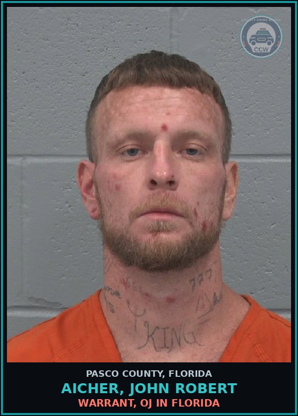 Booking mugshot of AICHER, JOHN ROBERT in Pasco County
